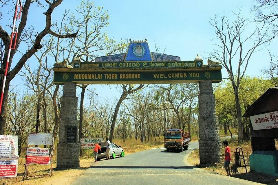 Mudumali