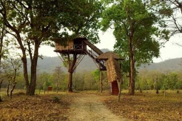 masinagudi-tour-package-2