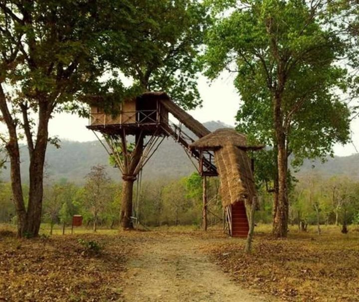 masinagudi-tour-package-2