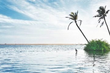 kerala-tour-package