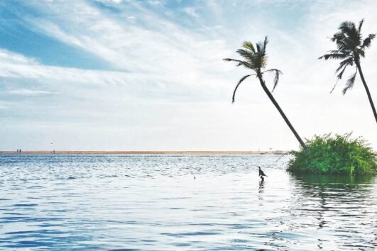 kerala-tour-package