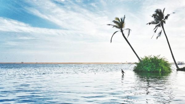 kerala-tour-package