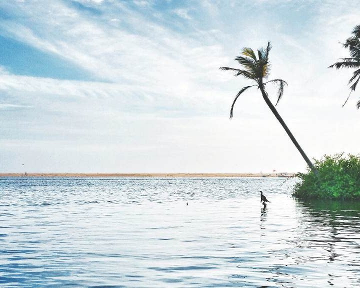 kerala-tour-package