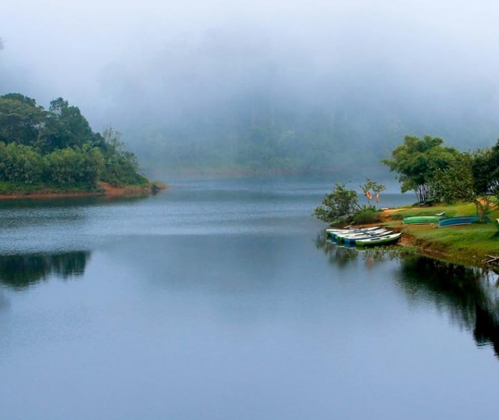 thekkady-tour-packages-2